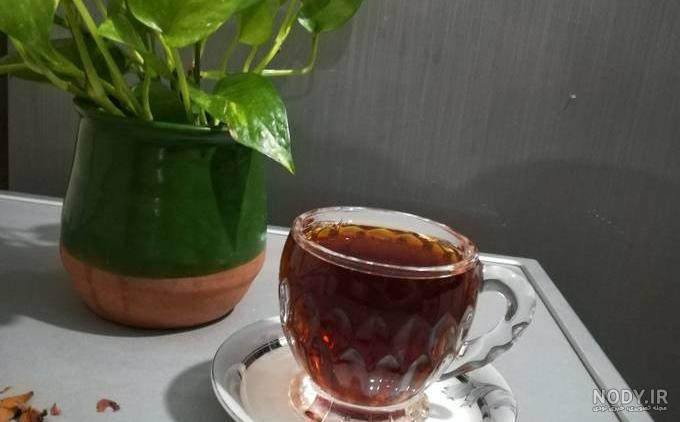 چای گل محمدی و اسطوخودوس | سرآشپز پاپیون چای گل محمدی و اسطوخودوس | سرآشپز پاپیون
