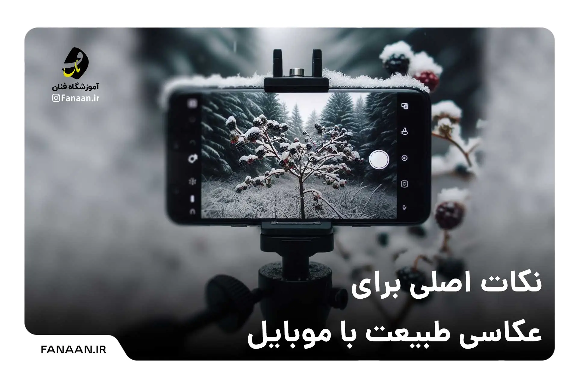 چگونه با لنز واید عکس طبیعت خوبی بگیریم؟ - اگزیف
