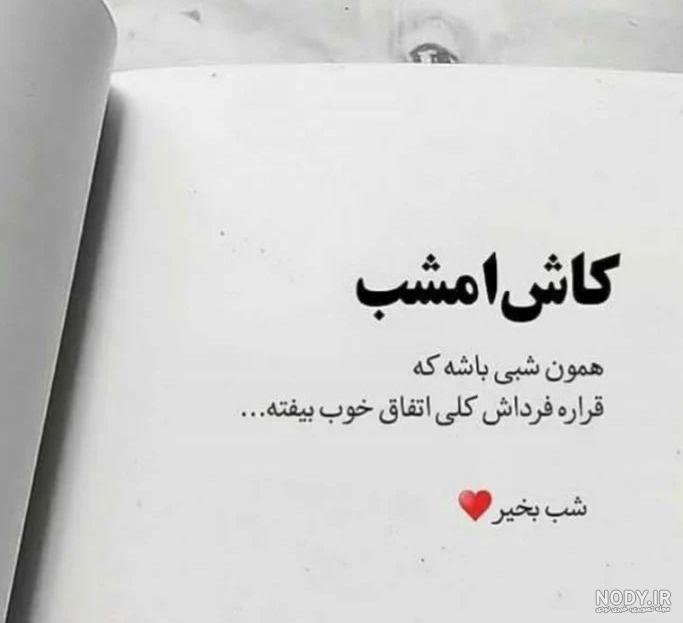 کلیپ شب بخیر همسرم شب بخیر عاشقانه