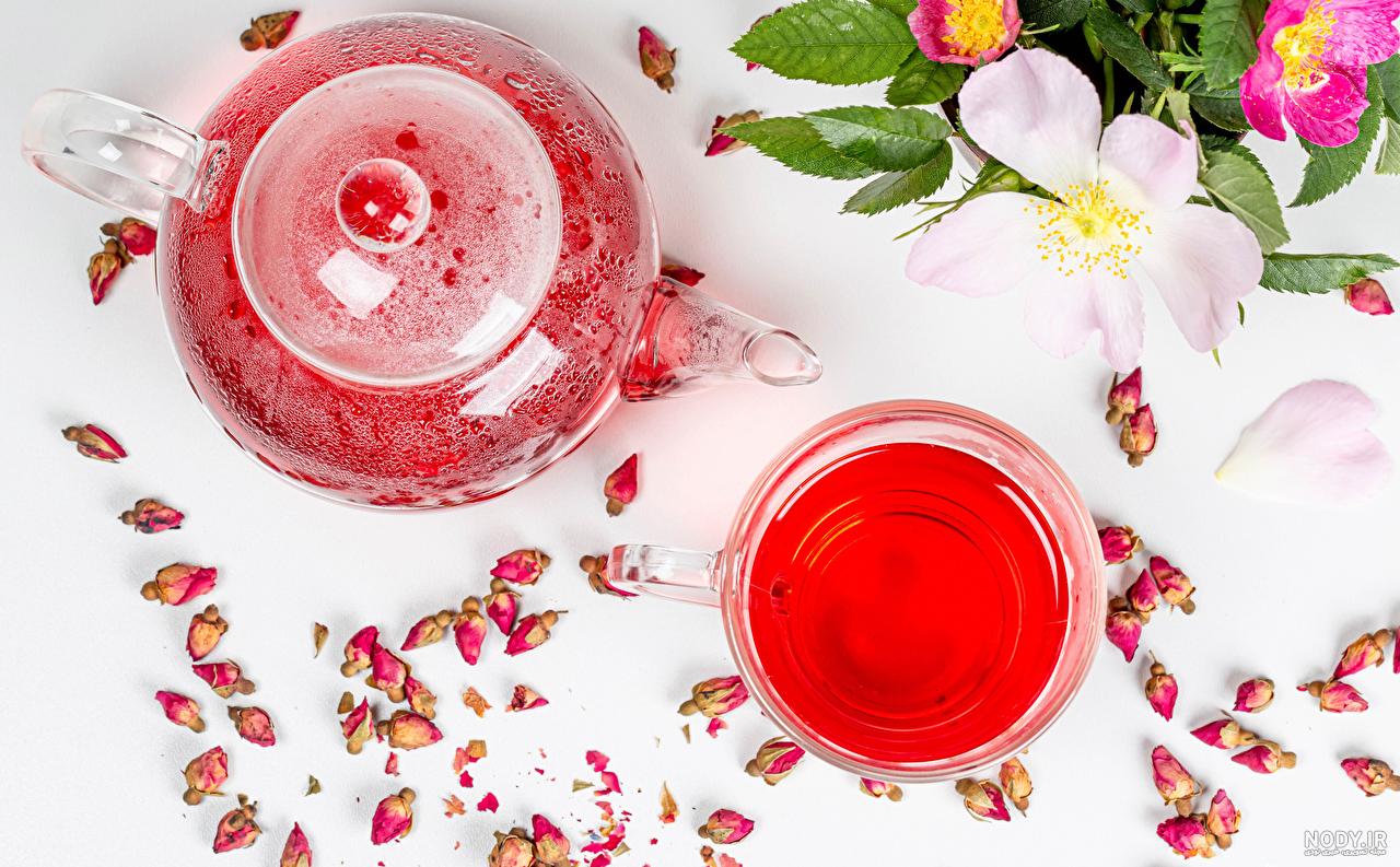 گل رز 🌹 انواع گل رز + عکس به همراه معرفی کامل و روش های نگهداری | گلمون گل رز 🌹 انواع گل رز + عکس به همراه معرفی کامل و روش های نگهداری | گلمون