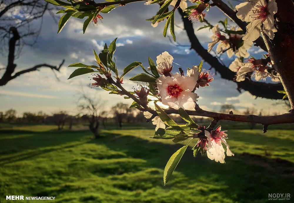 عکس خفن عکس الله در طبیعت