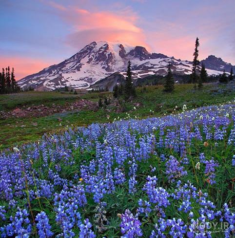 عکس خفن عکس الله در طبیعت