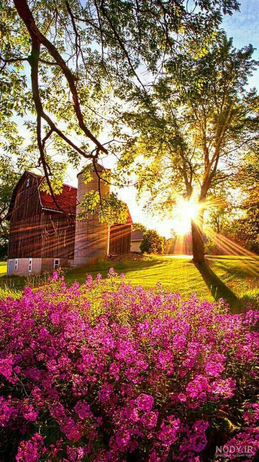 عکس خفن عکس الله در طبیعت