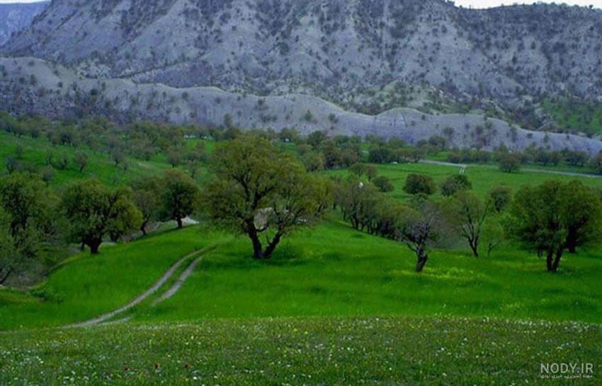 تصاویر| طبیعت زیبای ایلام تصاویر| طبیعت زیبای ایلام