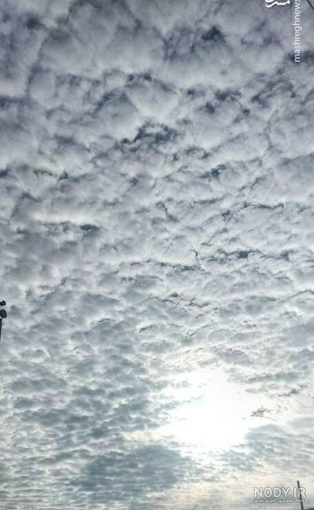 دانلود تصویر آسمان و سایه ای از درختان با کیفیت بالا دانلود تصویر آسمان و سایه ای از درختان با کیفیت بالا