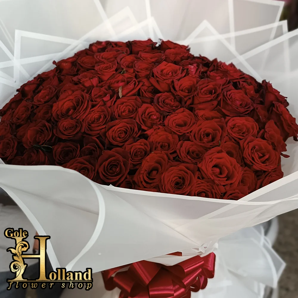 دانلود عکس گل رز با کیفیت عالی دانلود عکس گل رز با کیفیت عالی