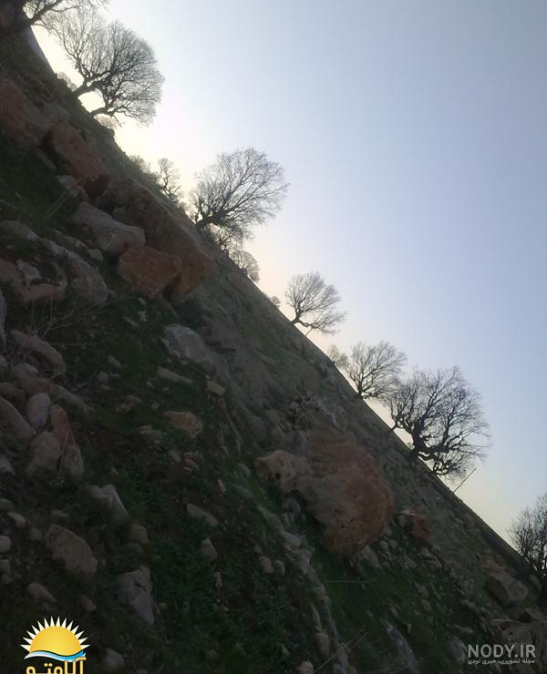دره ارغوان» ایلام بهشت رنگ های زیبای طبیعت به روایت تصویر - تسنیم دره ارغوان» ایلام بهشت رنگ های زیبای طبیعت به روایت تصویر - تسنیم