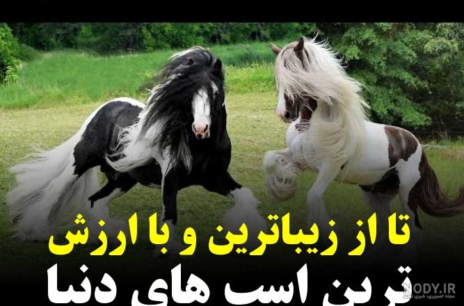 شوخی زشت با بهنوش بختیاری / خانوم بازیگر با اسب میلیاردی اش در باغ بود!!