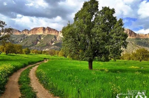 طبیعت برفی ایلام (عکس) طبیعت برفی ایلام (عکس)