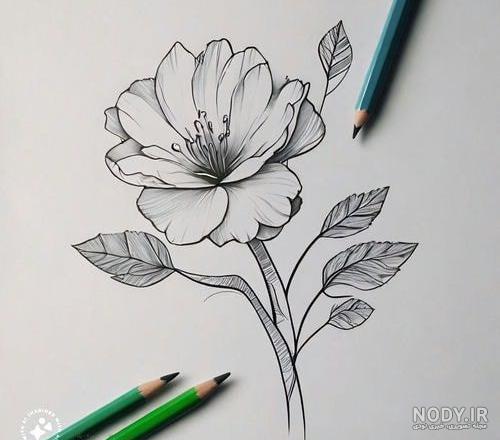 طرح نقاشی ساده گل - عکس نودی