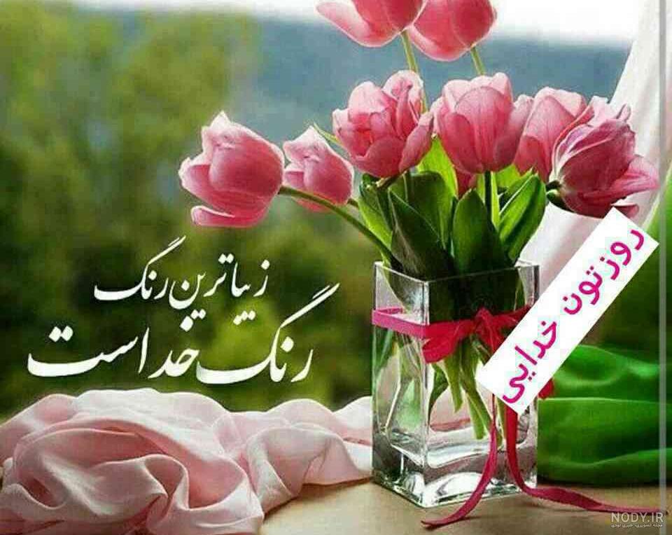 عکس از طبیعت صبح بخیر