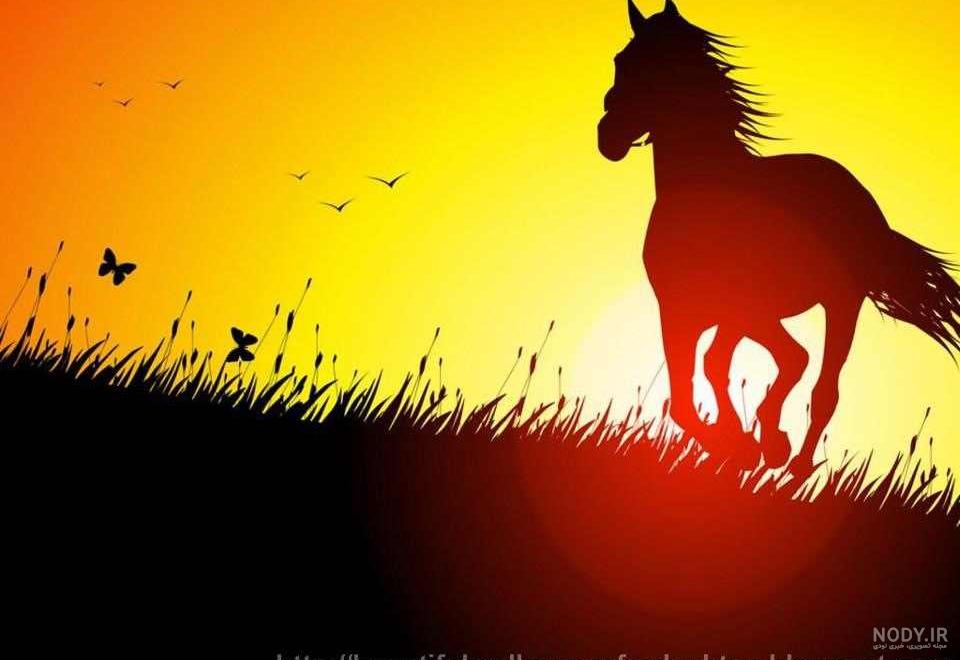 عکس اسب در غروب آفتاب
