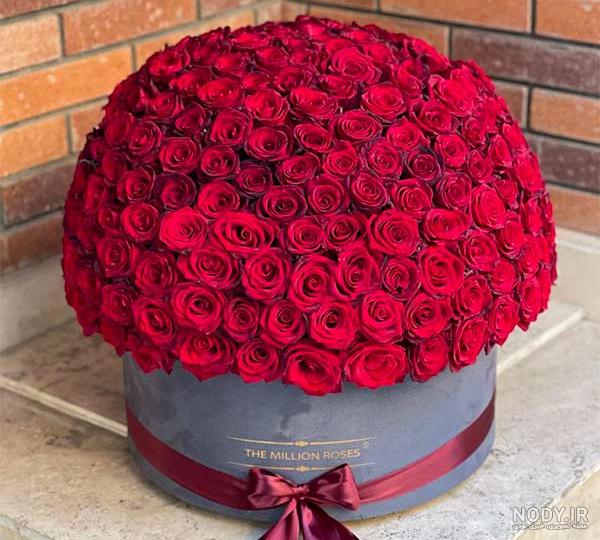 عکس با کیفیت یک شاخه گل رز قرمز بر روی تخته چوب بزرگ به رنگ خاکستری – عکس با کیفیت و تصاویر استوک حرفه ای عکس با کیفیت یک شاخه گل رز قرمز بر روی تخته چوب بزرگ به رنگ خاکستری – عکس با کیفیت و تصاویر استوک حرفه ای