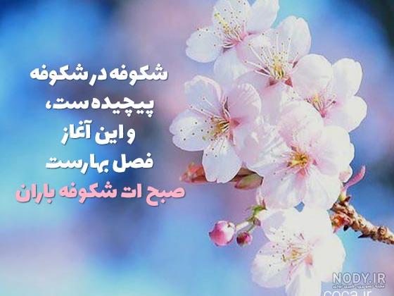 عکس صبح بخیر طبیعی عکس صبح بخیر طبیعی