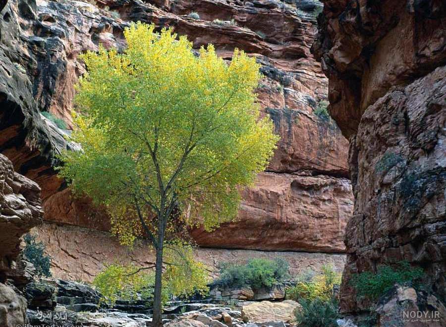 عکس طبیعت در ایلام عکس طبیعت در ایلام