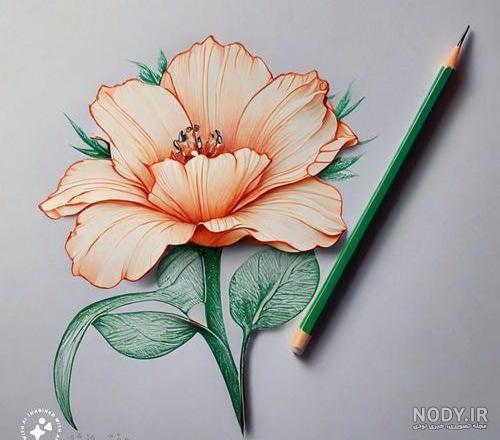 عکس طرح گل ساده