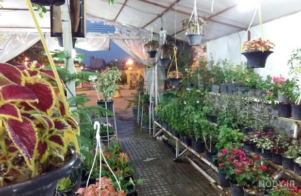 عکس مغازه گل فروشی