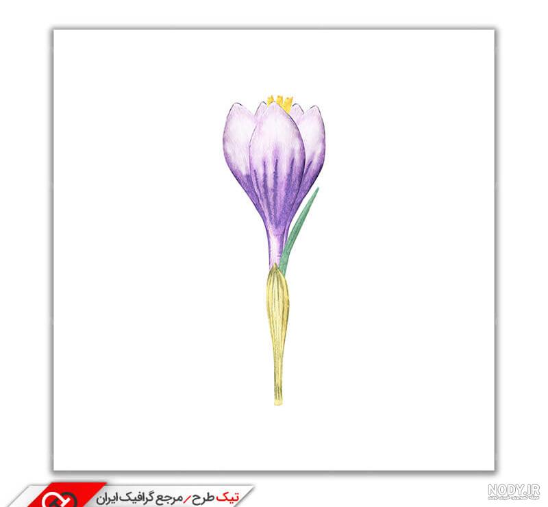 عکس نقاشی گل های زیبا اما ساده