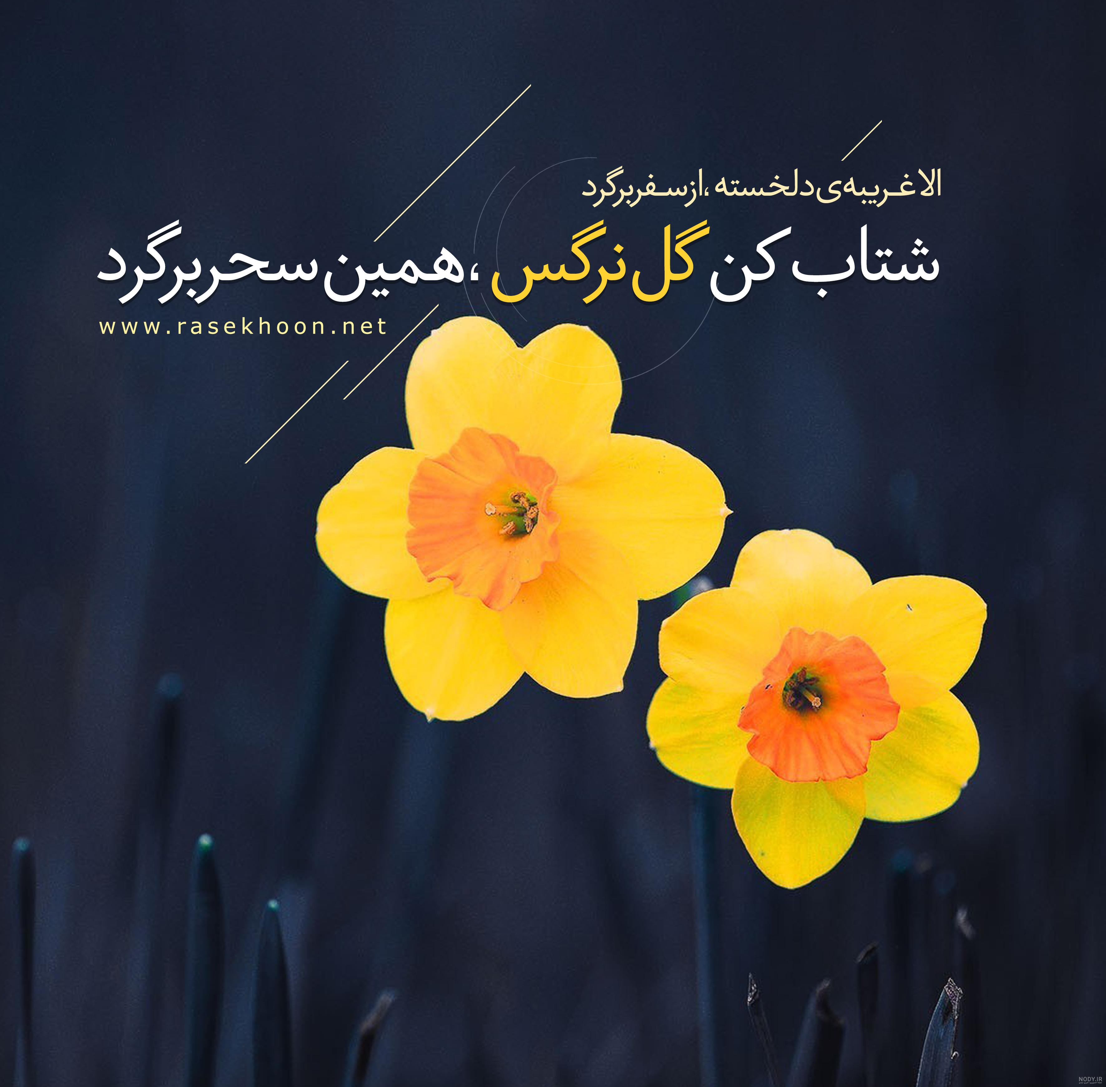 عکس نوشته پروفایل امام زمان (عج) + جملاتی در مورد امام زمان عکس نوشته پروفایل امام زمان (عج) + جملاتی در مورد امام زمان