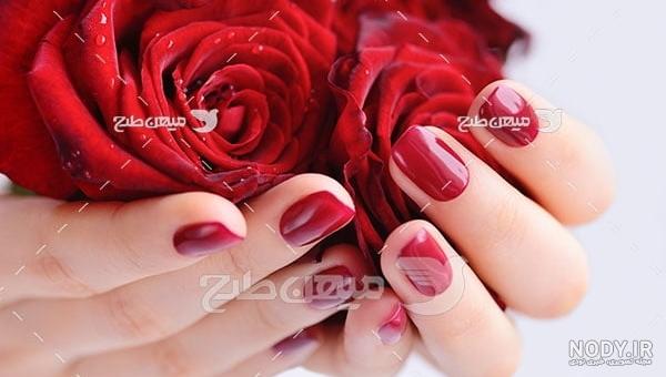 عکس گل و دست برای پروفایل