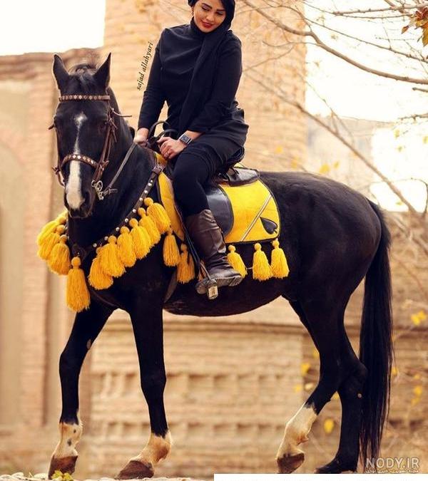 مجموعه عکس اسب وحشی بسیار زیبا و دیدنی با کیفیت بالا مجموعه عکس اسب وحشی بسیار زیبا و دیدنی با کیفیت بالا