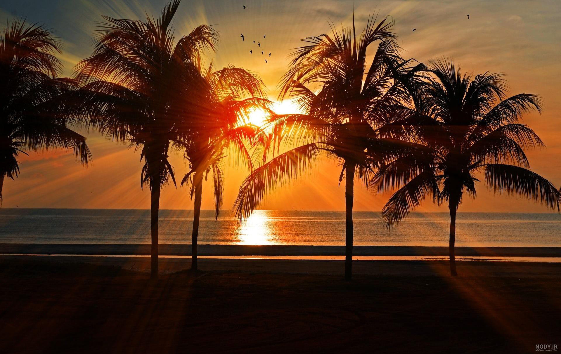 Mountains Tropics Hawaii Palms Lawn Trees عکس طبیعت تصویر زمینه کوه ، درخت  خرما - imgfa.ir