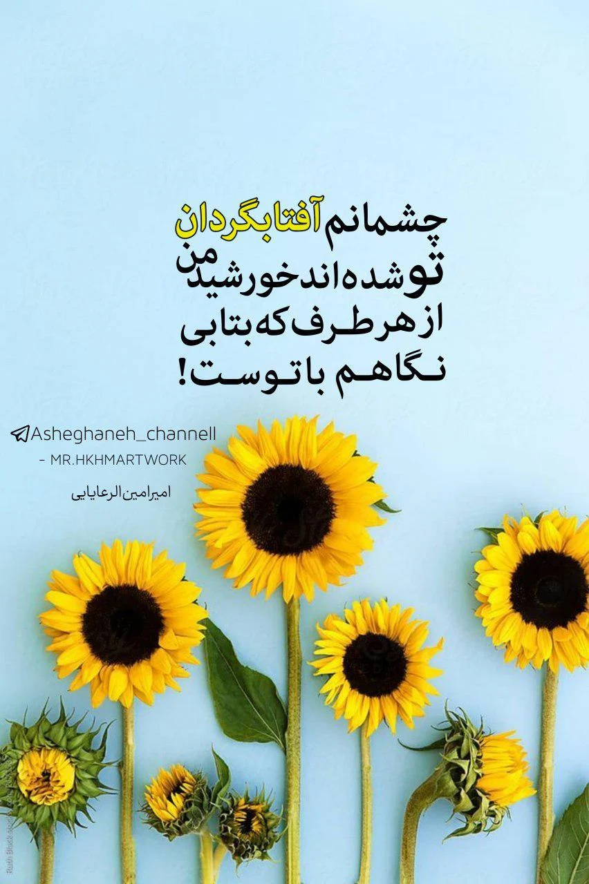 130 عکس گل آفتابگردان برای پروفایل با کیفیت بالا full HD ❰فانتزی و کارتونی❱ 130 عکس گل آفتابگردان برای پروفایل با کیفیت بالا full HD ❰فانتزی و کارتونی❱