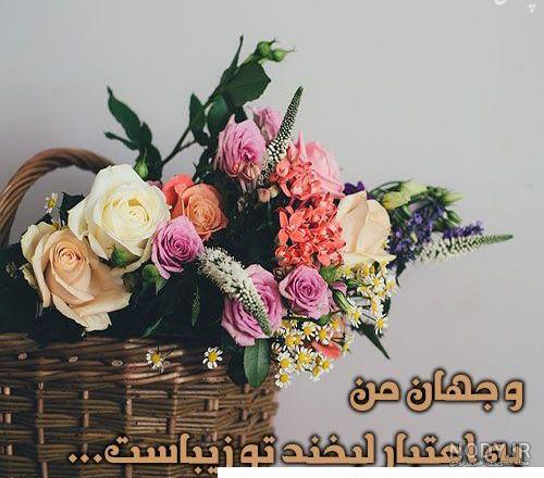 33 مورد از زیباترین گیاهان و گل های آپارتمانی | گُل‌سِتان