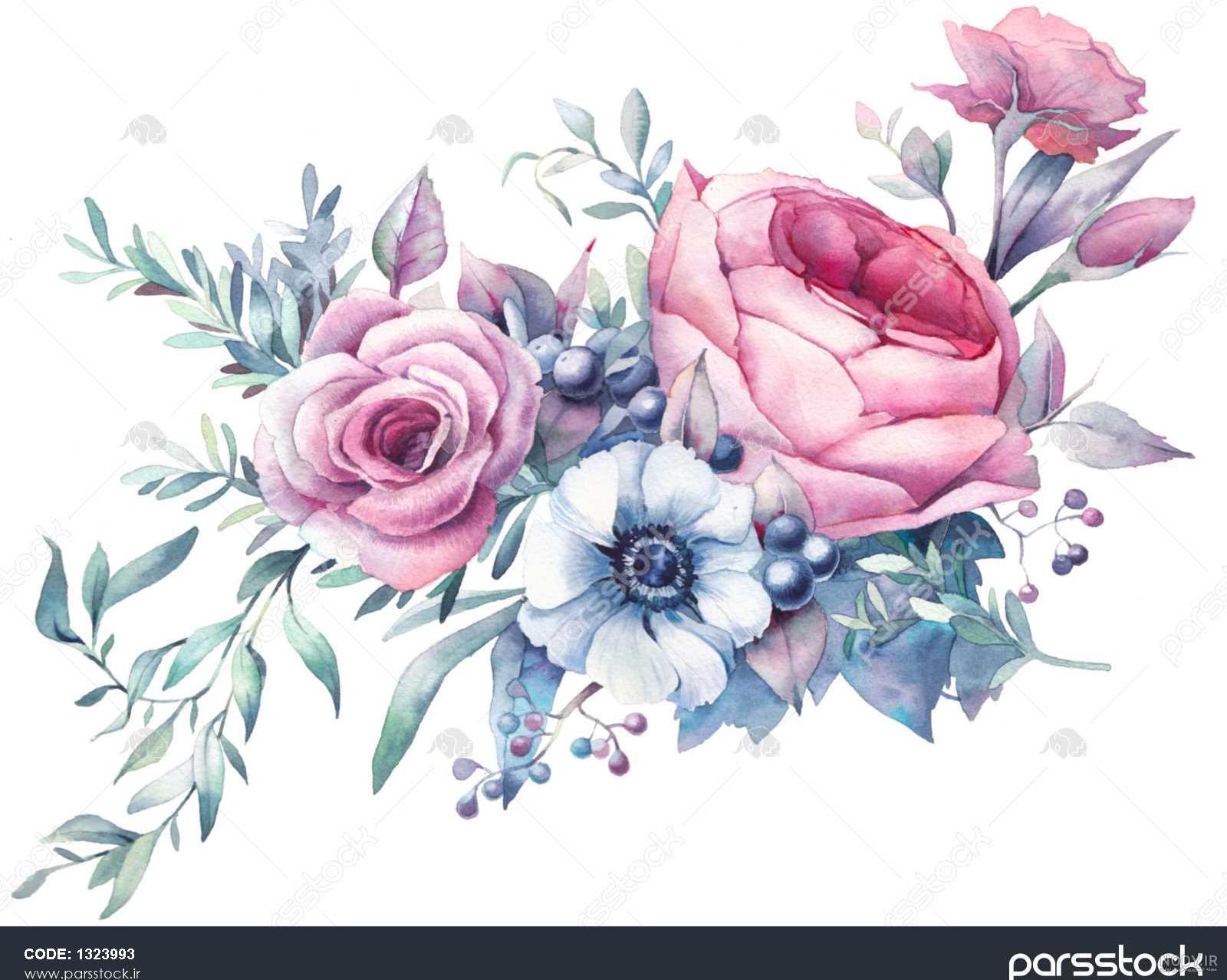 Mp4.ir | نقاشی گل صد تومانی در آبرنگ چینی