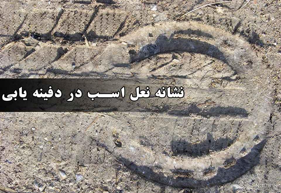 آشنایی کامل با قارچ سم اسبی + آرایه شناسی - هاگ