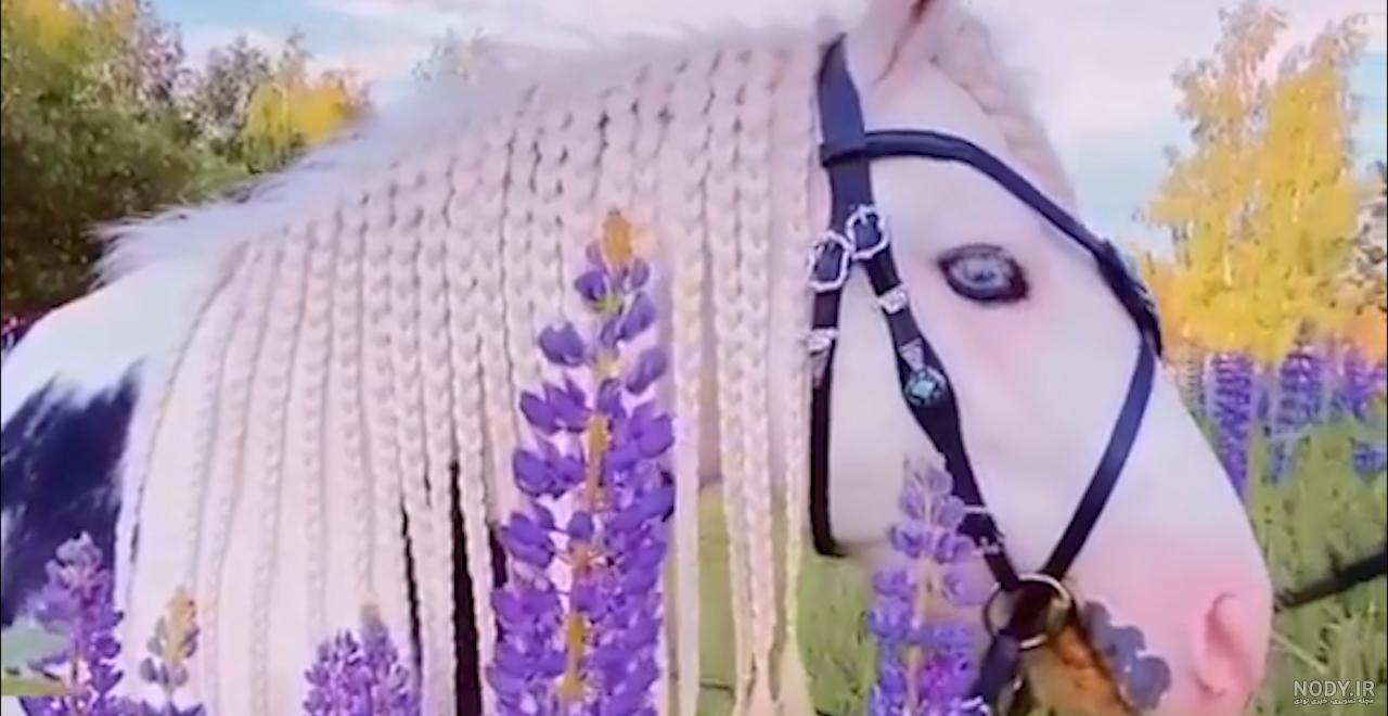 آموزش نقاشی اسب کودکانه به 3 روش مختلف