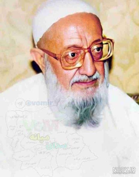 آیت الله سیدهاشم میردامادی؛ مفسر مجاهد