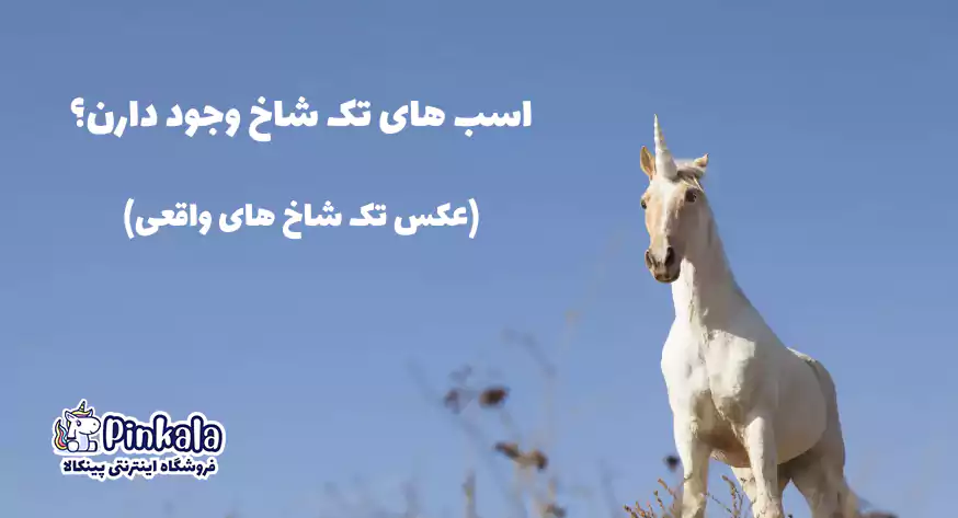 اسب های زیبا و خنده دار اسب های زیبا و خنده دار