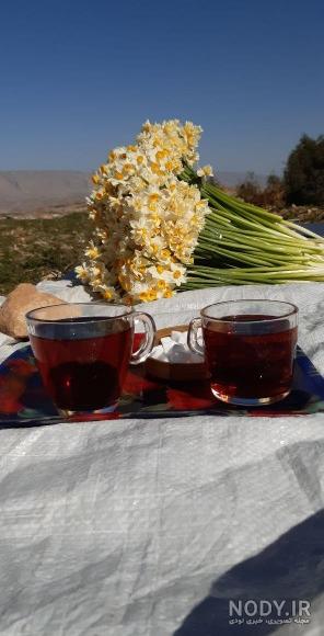 براى رفع بى خوابى چای گل محمدی بنوشيد. براى رفع بى خوابى چای گل محمدی بنوشيد.