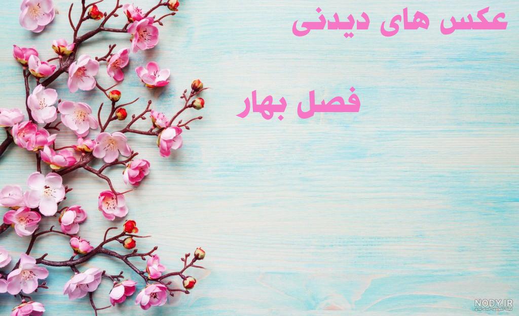 بهار🌱 بهار🌱