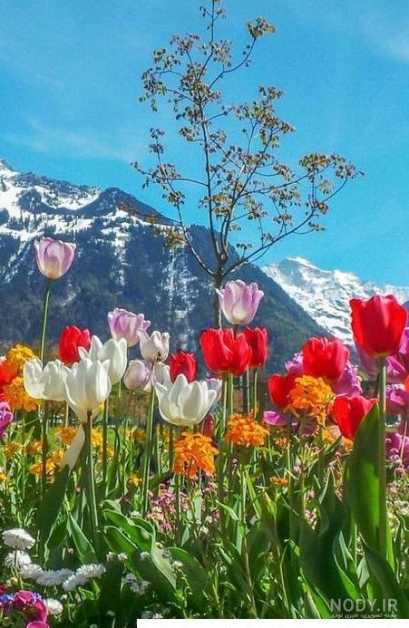 تصاویر طبیعت بهاری زیبا