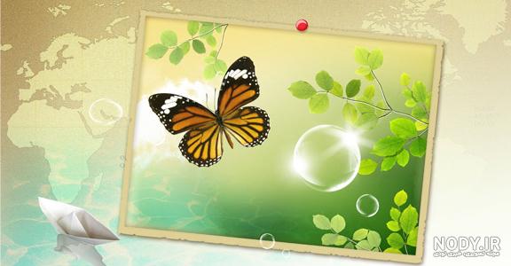 خبرگزاری مهر | اخبار ایران و جهان | Mehr News Agency - تصاویر زیبا از  گل‌های بهاری در جهان