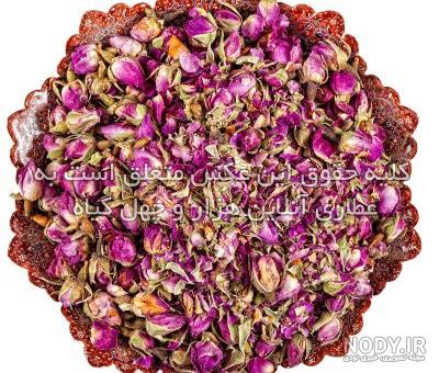 خرید و قیمت غنچه گل محمدی خشک شده (100 گرمی) از غرفه محصولات گیاهی با ما  سالمین
