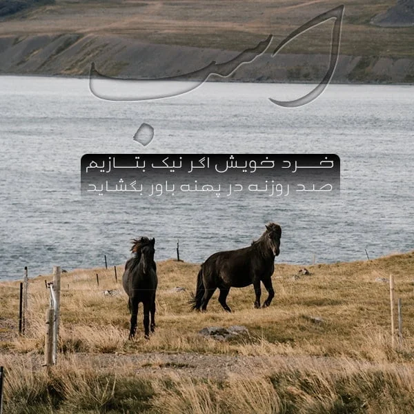 دانلود 30 عکس یونیکورن و اسب تک شاخ Unicorn photo دانلود 30 عکس یونیکورن و اسب تک شاخ Unicorn photo