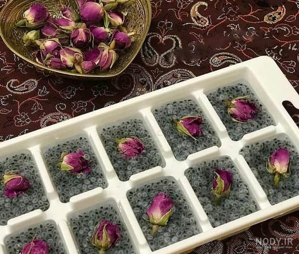 درآمدزایی مناسب با خشک کردن غنچه و گلبرگ گل محمدی