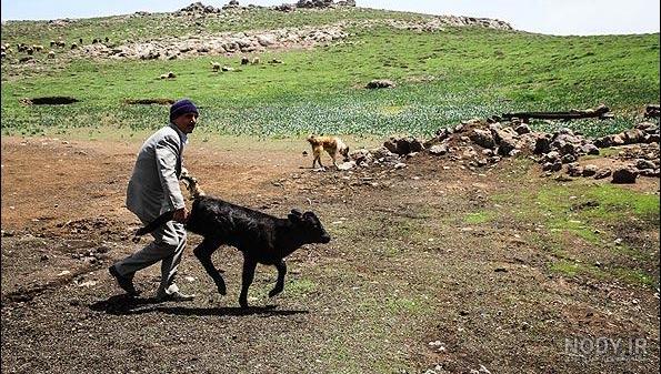 روستای آتشگاه کرج کجاست و اماکن معروف آن چیست؟ – ویلاژست روستای آتشگاه کرج کجاست و اماکن معروف آن چیست؟ – ویلاژست