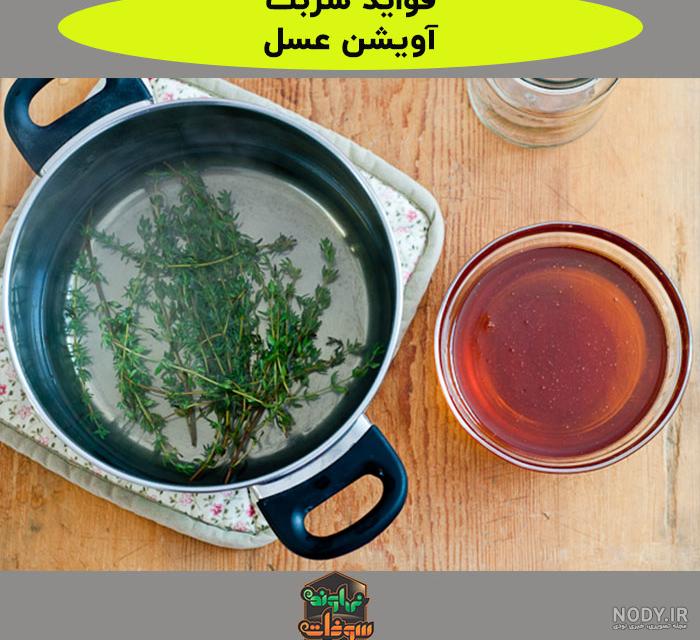 عسل آویشن چیست و چه خواصی دارد؟ | سایت انتخاب عسل آویشن چیست و چه خواصی دارد؟ | سایت انتخاب