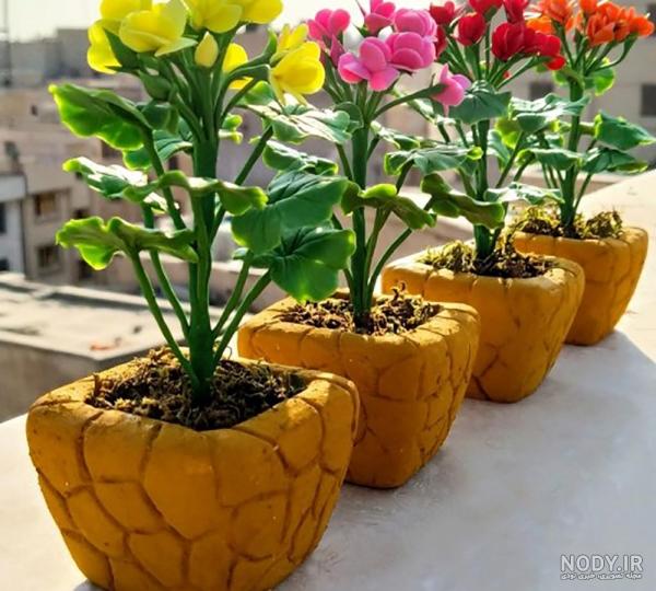 علت زرد شدن برگ شمعدانی و روش های جلوگیری از آن علت زرد شدن برگ شمعدانی و روش های جلوگیری از آن