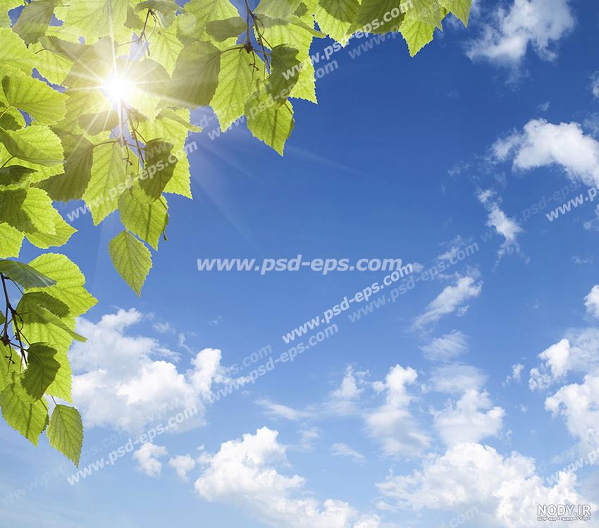عکس با کیفیت آسمان مجازی یا طرح زیبا برای تایل سقف کاذب برگ های سرسبز شاخه  های درخت بر روی زمینه آسمان آبی و ابری با نور خورشید - لایه باز طرح