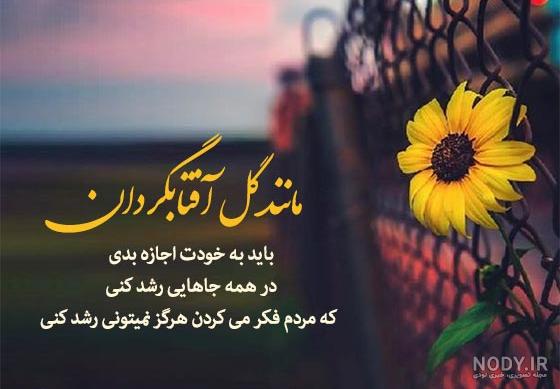 عکس های جدید گل در باران عکس های جدید گل در باران
