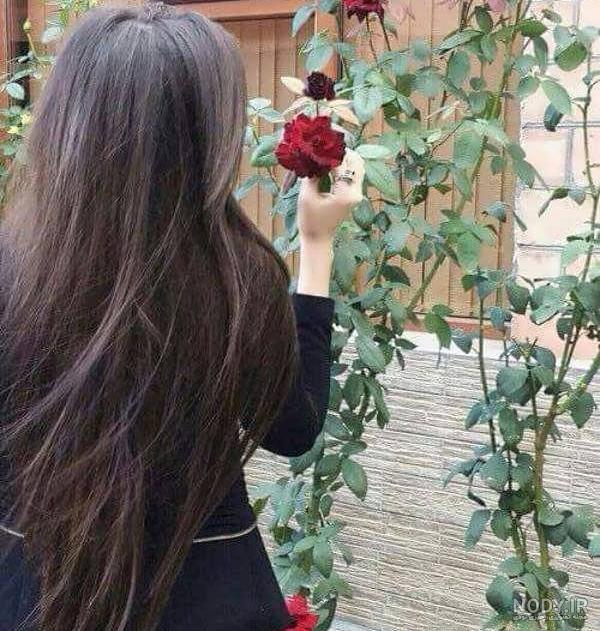 عکس دختر از پشت سر (در طبیعت، پاییز، با حجاب، با کلاه) برای پروفایل - ستاره عکس دختر از پشت سر (در طبیعت، پاییز، با حجاب، با کلاه) برای پروفایل - ستاره