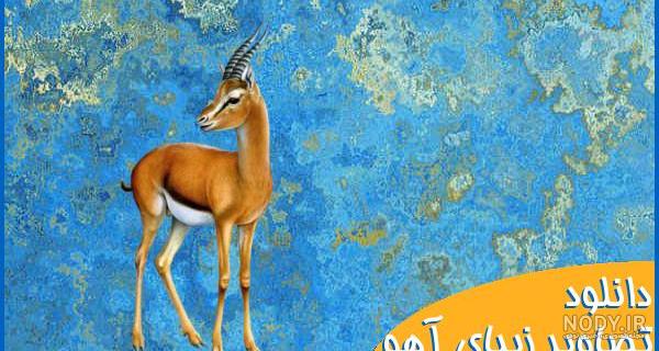 عکس زیباترین اهو دنیا - عکس نودی