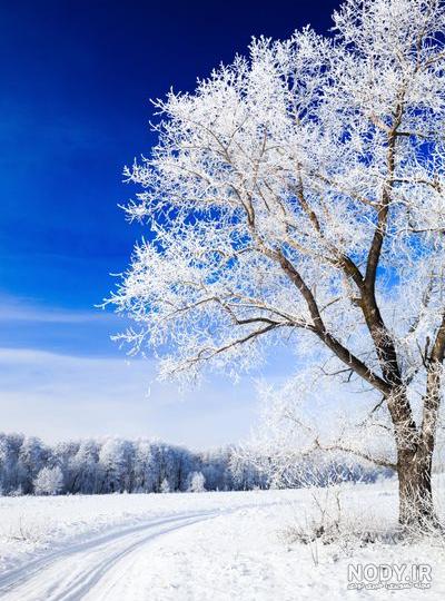 عکس طبیعت زمستانی با کیفیت بالا