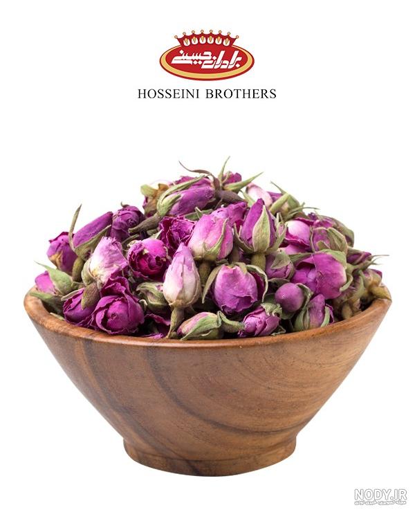 عکس غنچه گل محمدی خشک