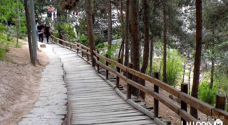 عکس: پارک آب و آتش - 338 عکس: پارک آب و آتش - 338